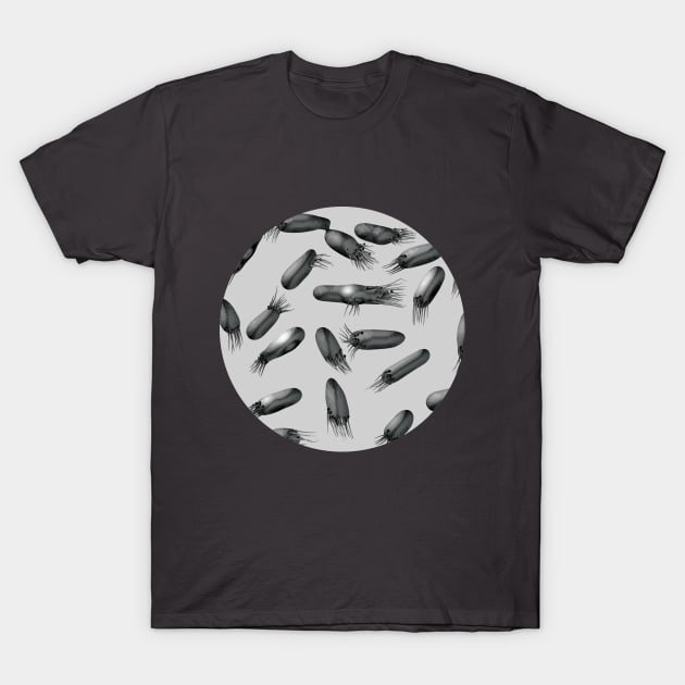 under the microscope T-Shirt by lazykite